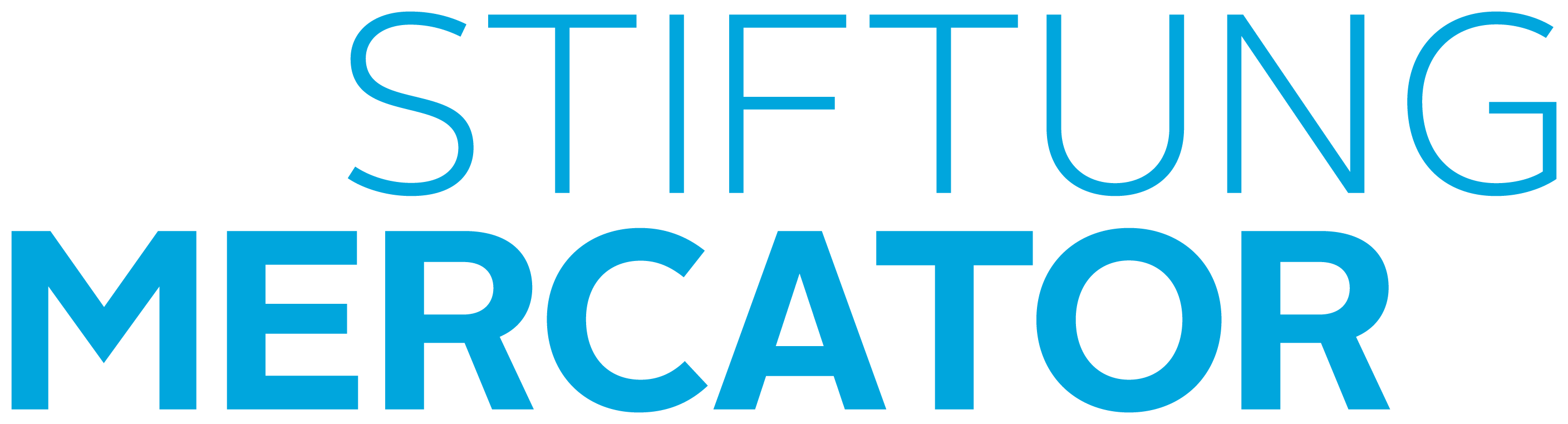 Stiftung Mercator Logo Dias Logo