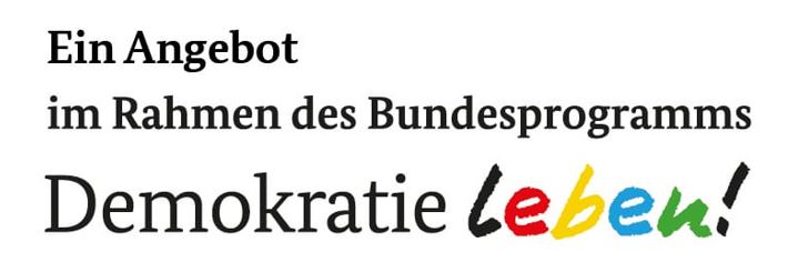Förderlogo Stiftung Mercator Logo